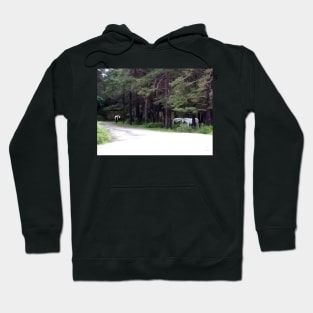 New Forest Ponies Hoodie